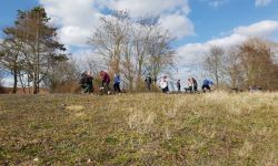 Plantations Cavalier   014